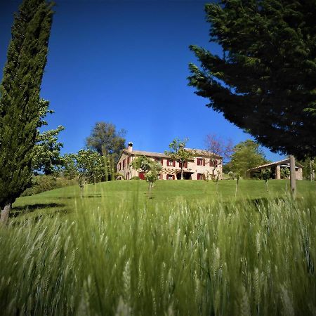 Quelli Del Picchio Bed and Breakfast Cupramontana Εξωτερικό φωτογραφία