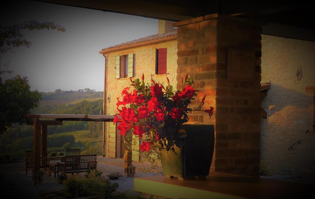 Quelli Del Picchio Bed and Breakfast Cupramontana Εξωτερικό φωτογραφία