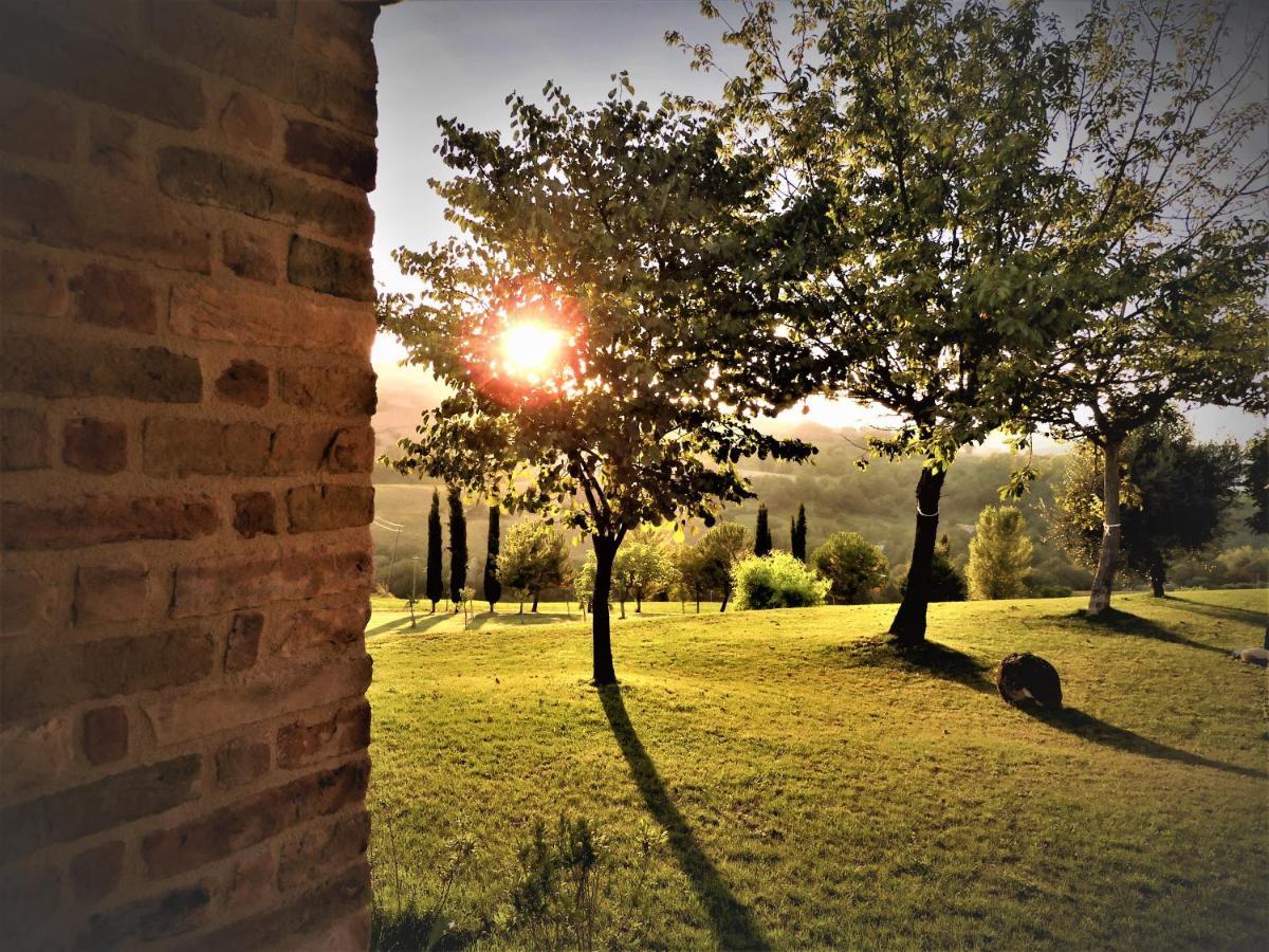 Quelli Del Picchio Bed and Breakfast Cupramontana Εξωτερικό φωτογραφία
