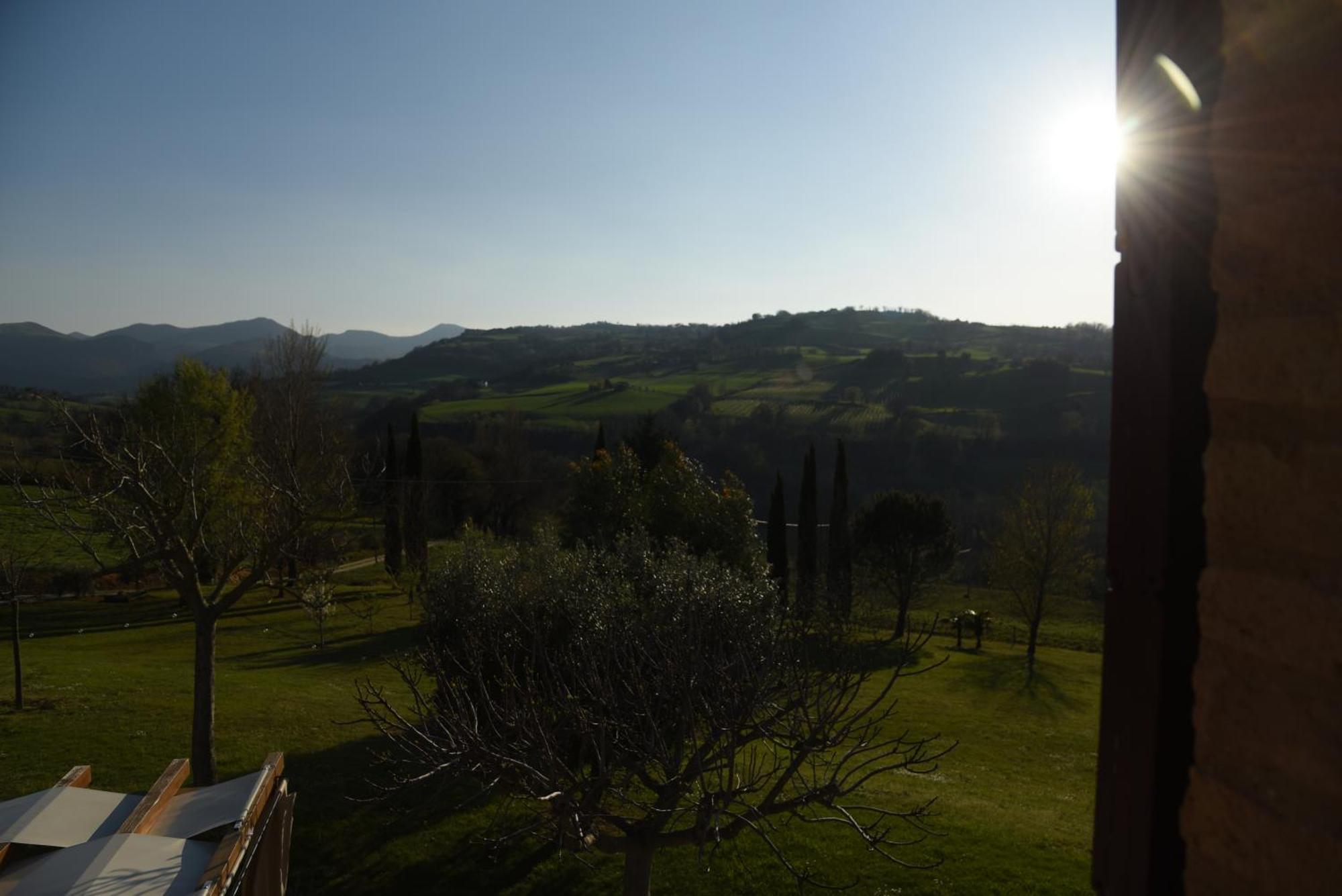 Quelli Del Picchio Bed and Breakfast Cupramontana Εξωτερικό φωτογραφία