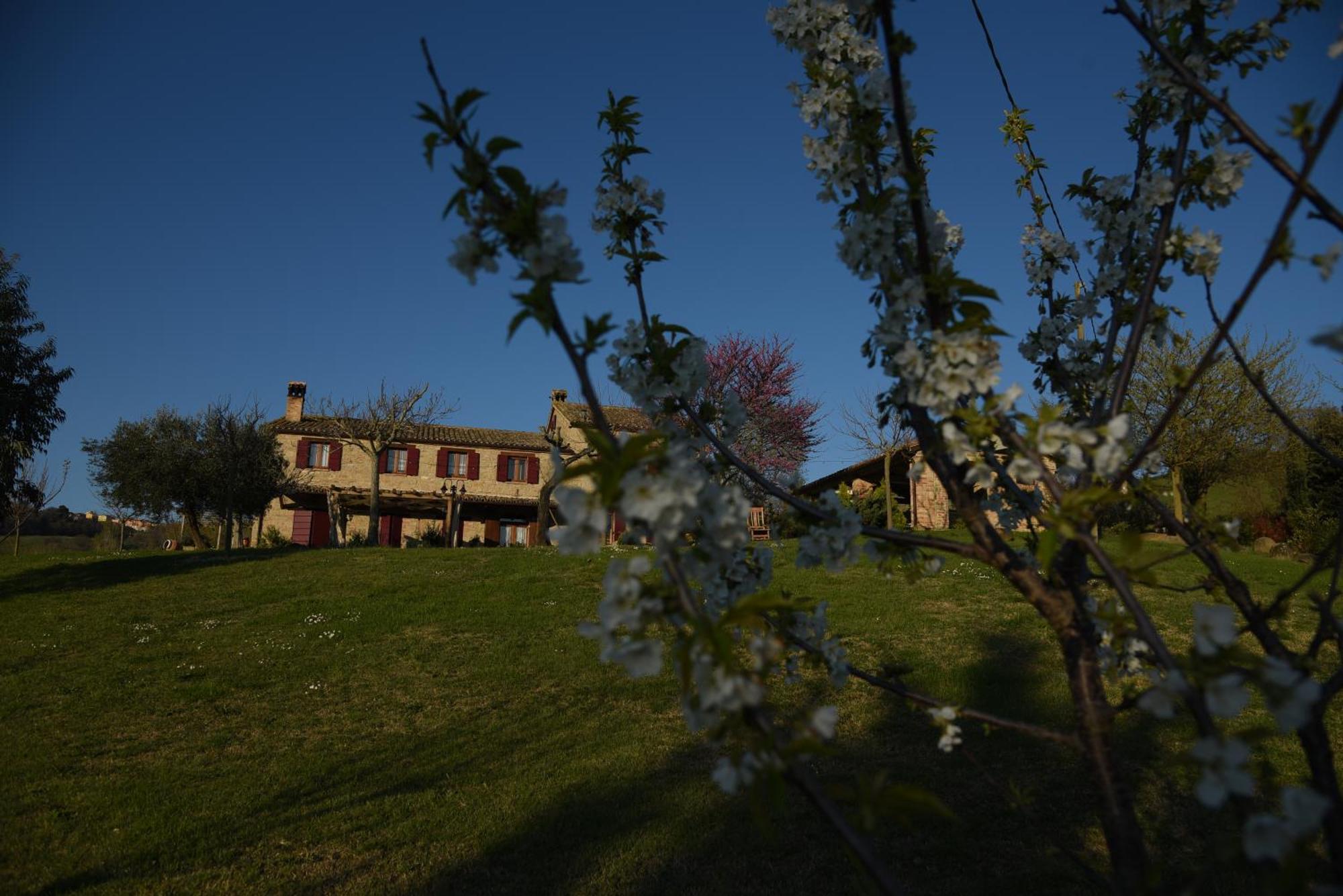 Quelli Del Picchio Bed and Breakfast Cupramontana Εξωτερικό φωτογραφία